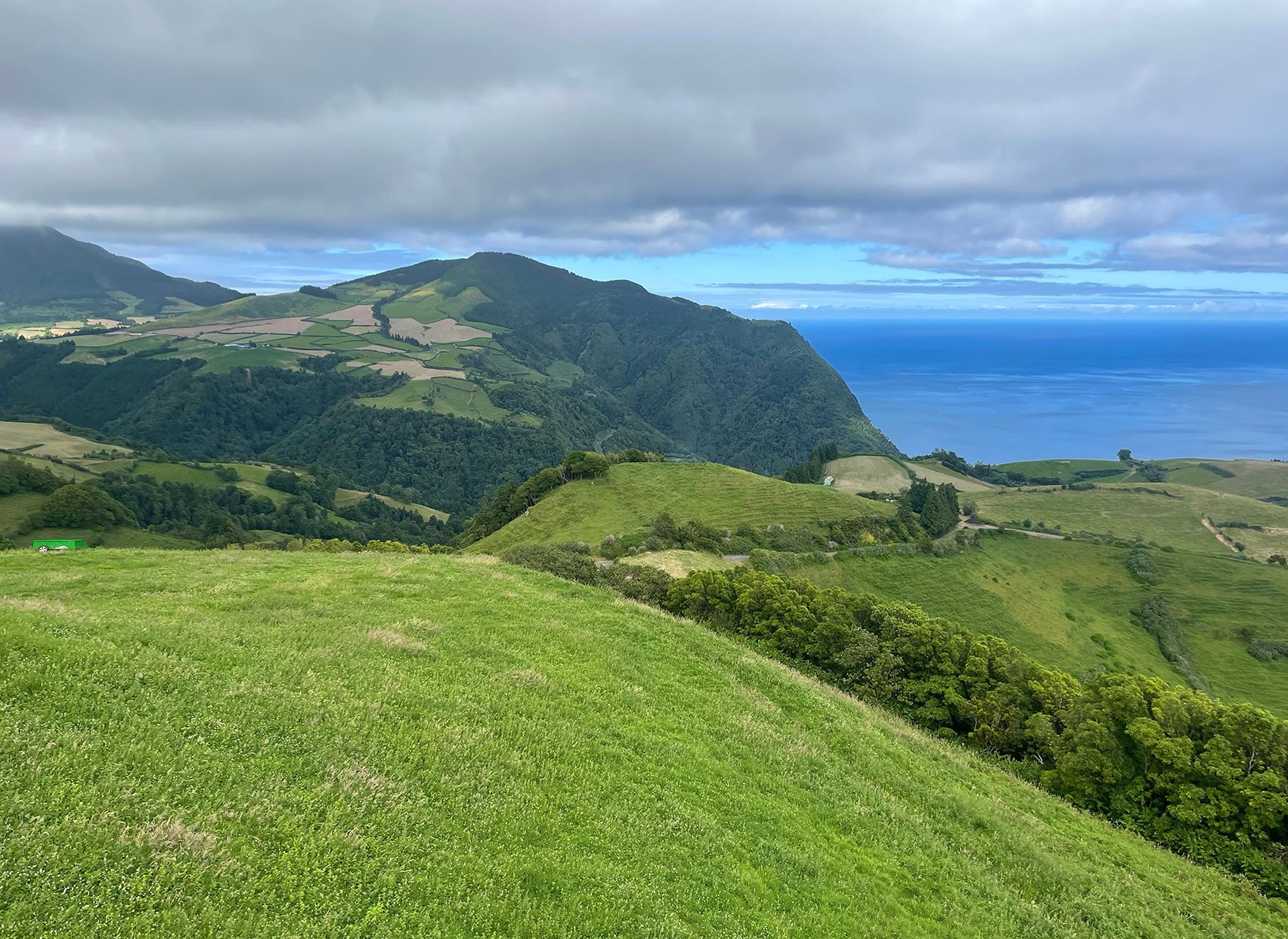 Grassy hillside