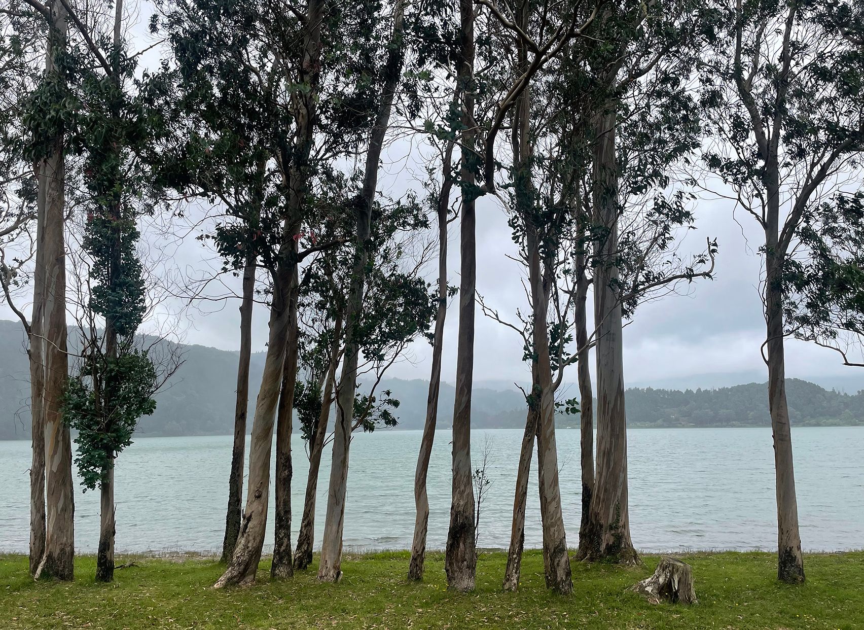 Lake view