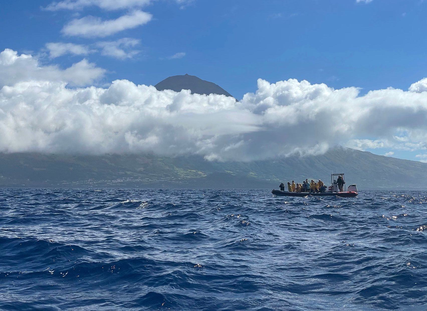 Whale-watching boat