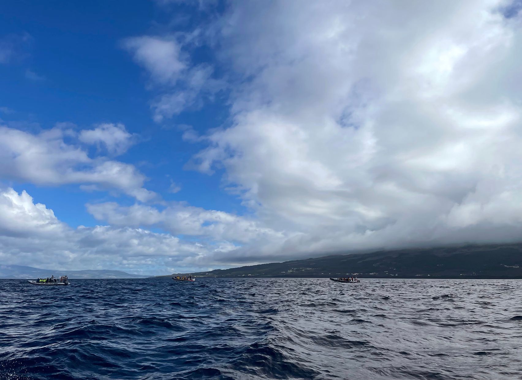 Whale-watching boat