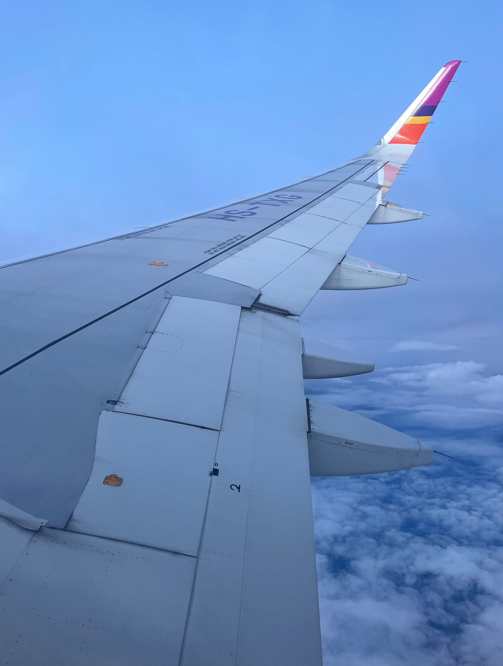 Airplane wing