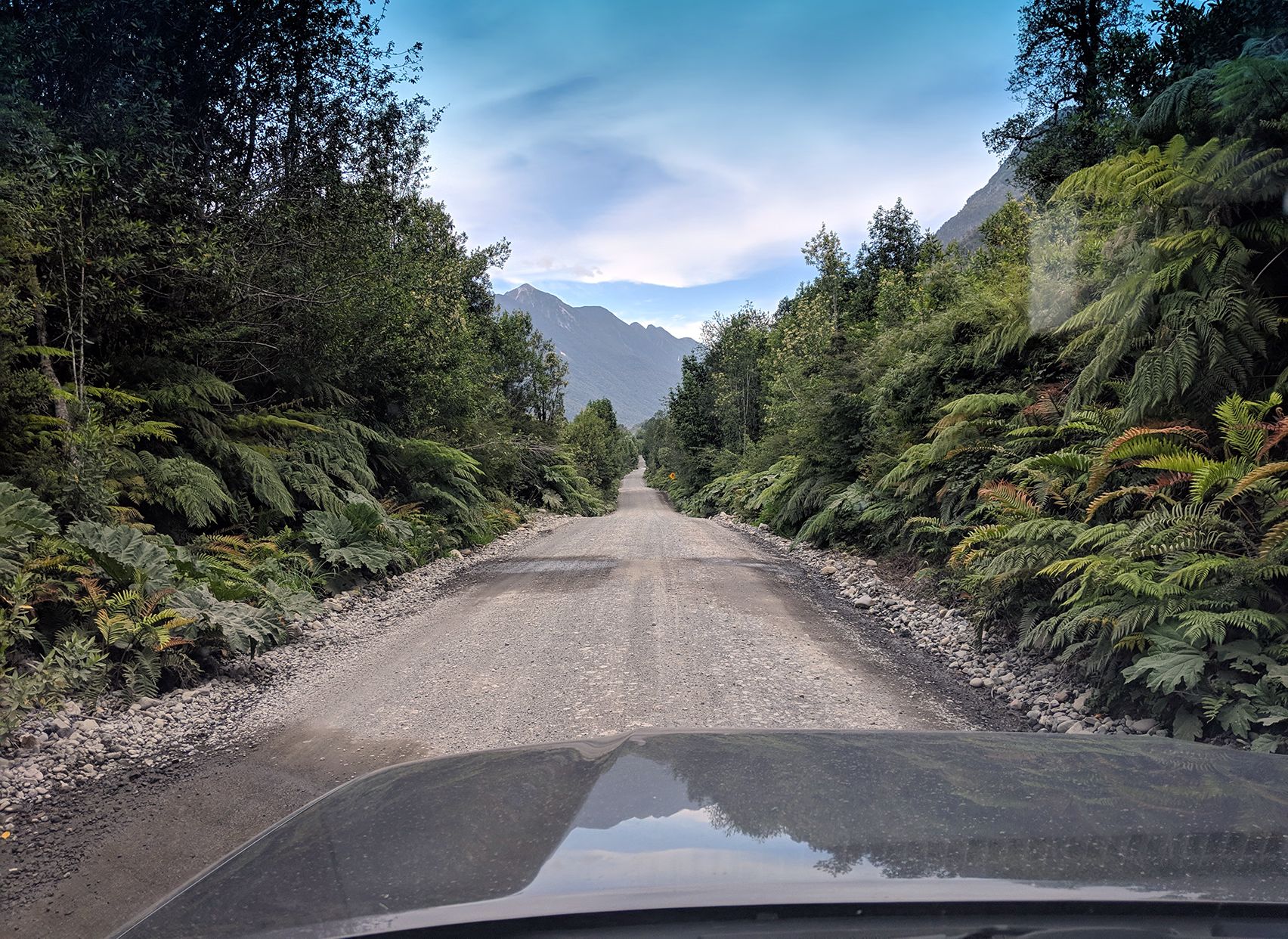 Gravel road in rainforest
