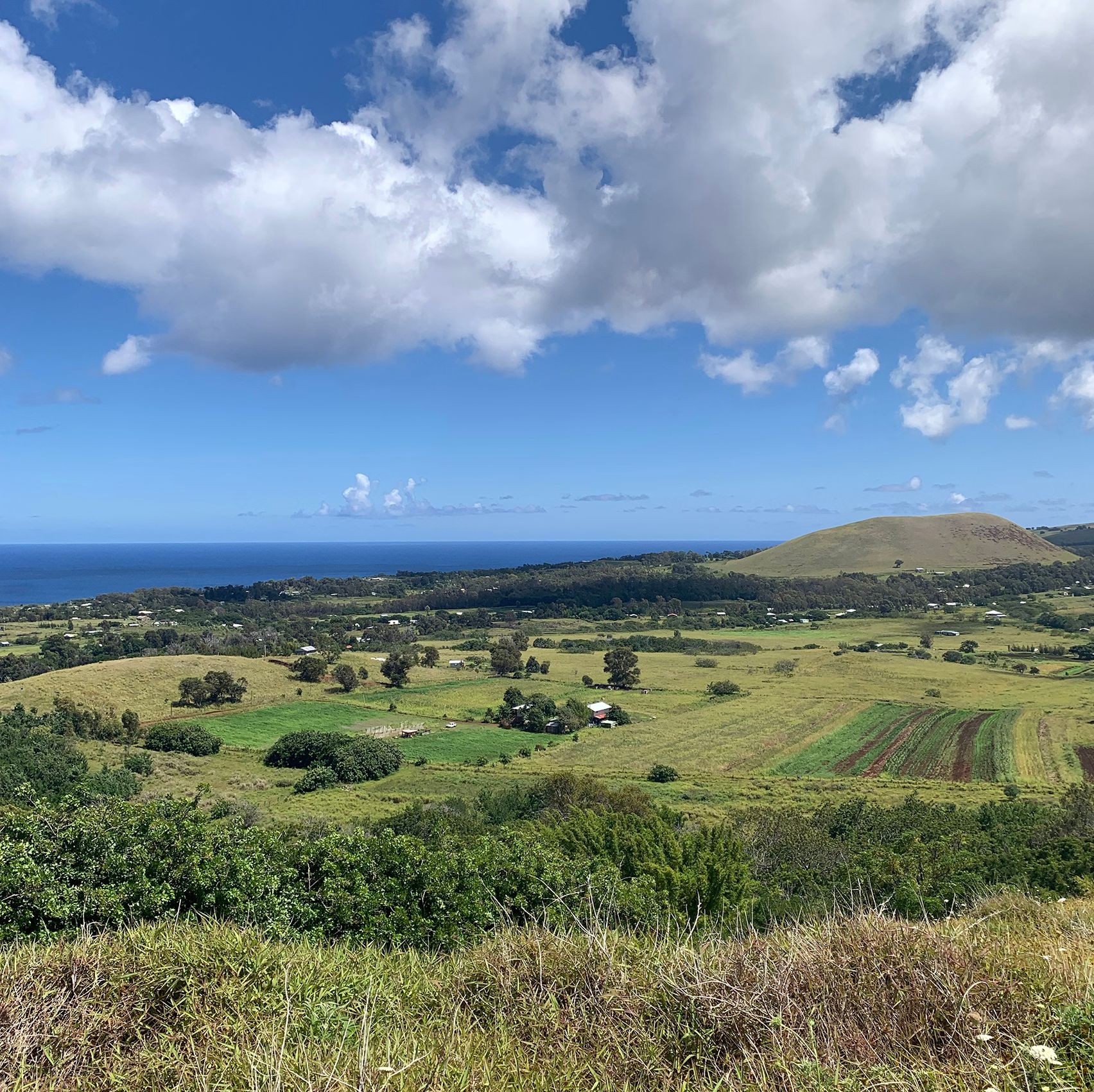 Farm fields from a hill.