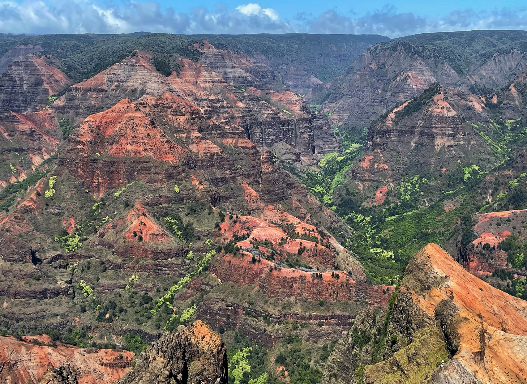 Kauaʻi, Hawaiʻi cliffs