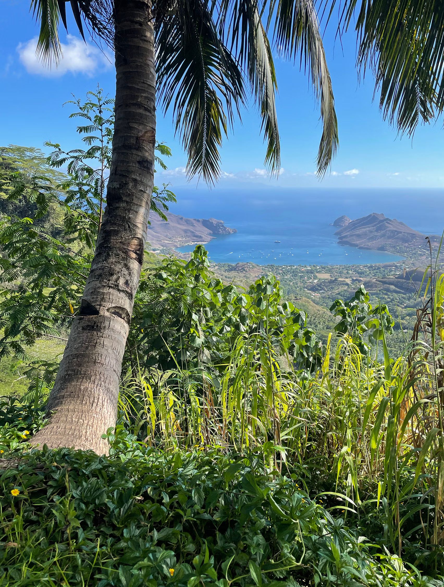 Nuku Hiva bay view
