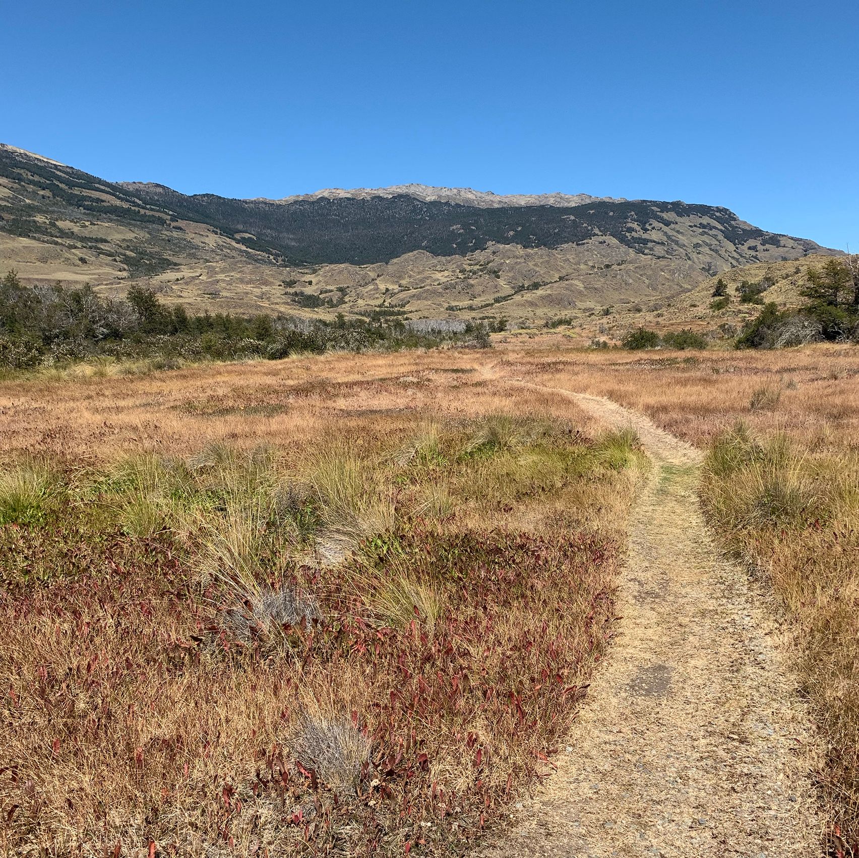 Valle Chacabuco landscape