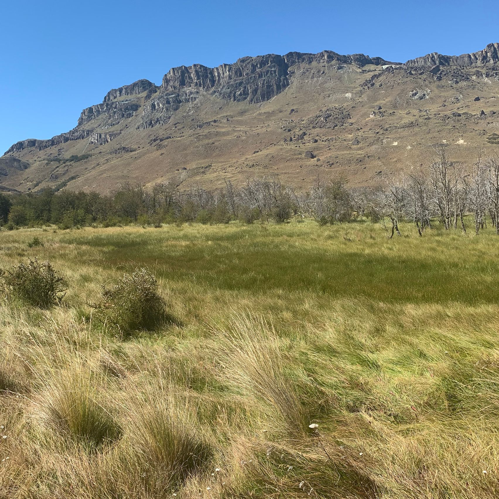Valle Chacabuco landscape