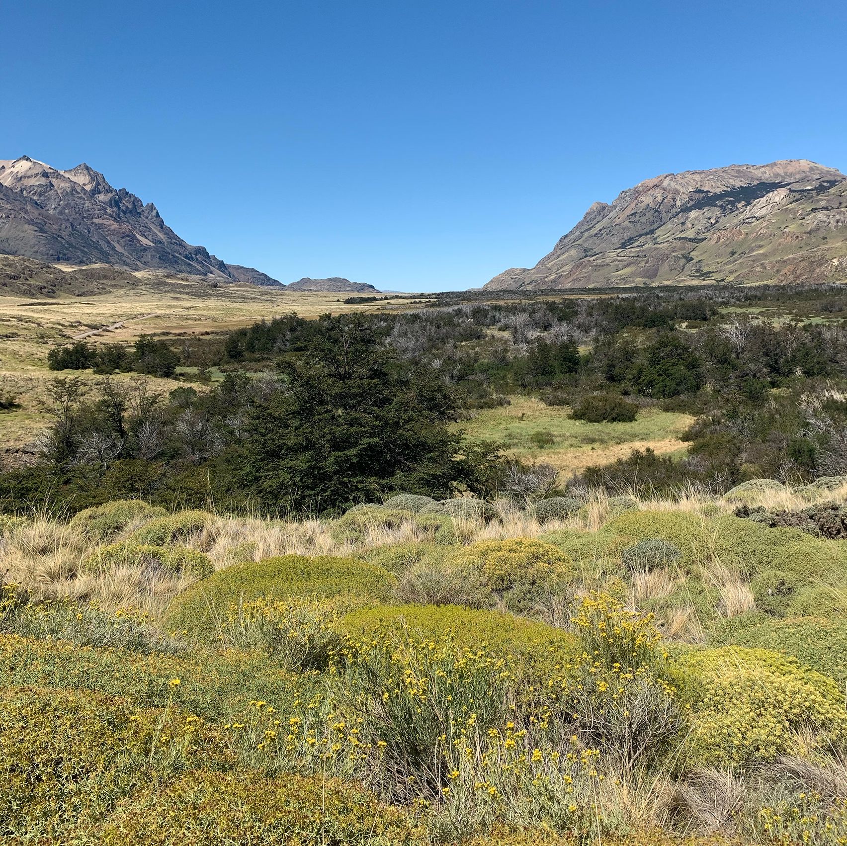Valle Chacabuco landscape