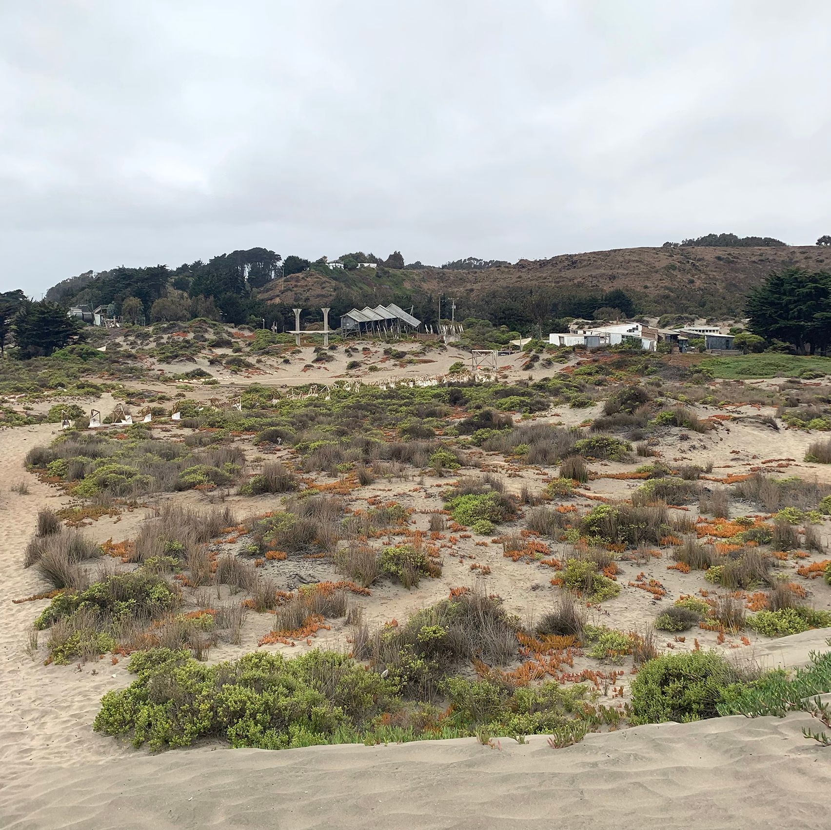Full town from far away with beach vegetation