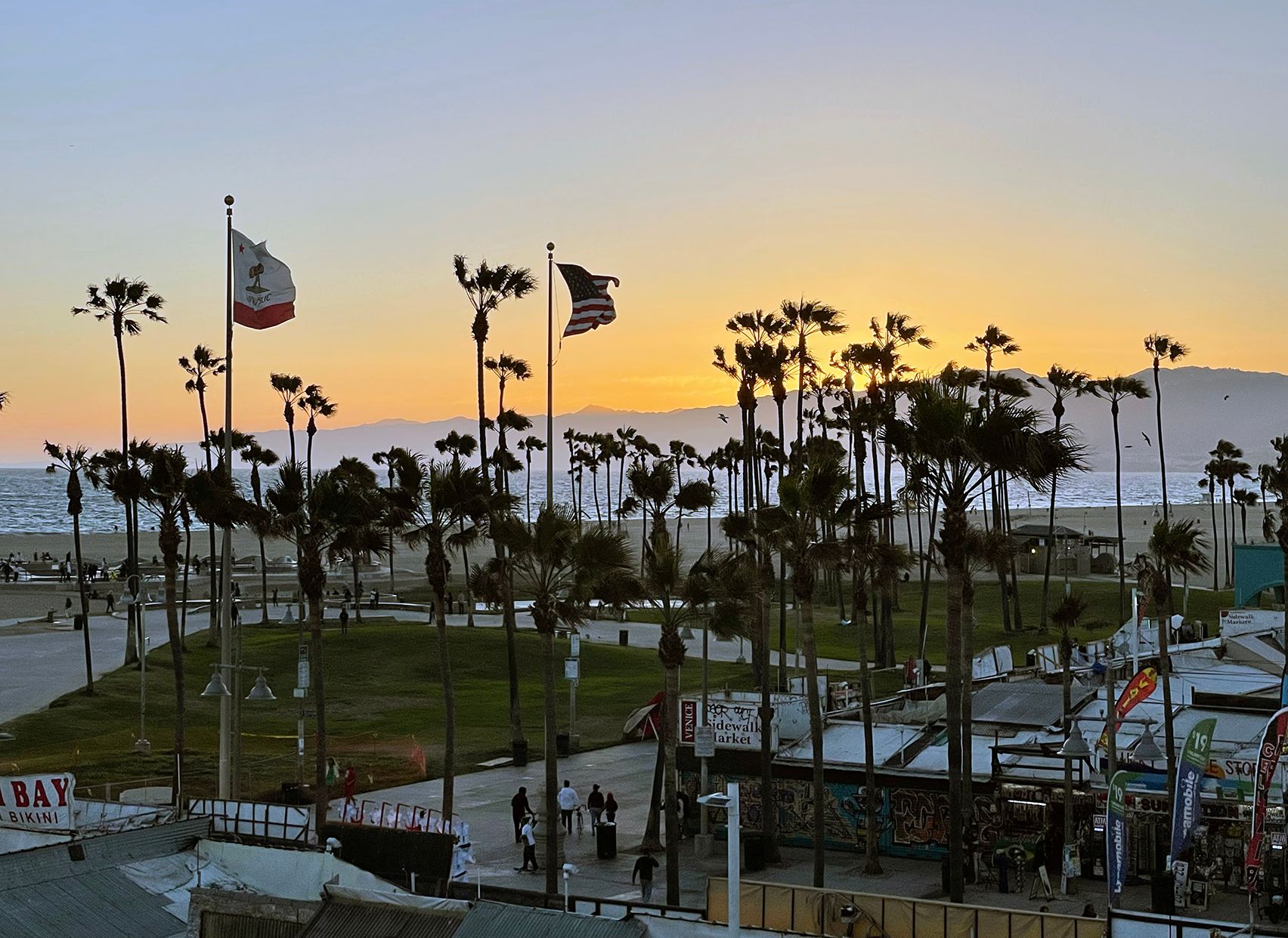Palm trees at sunset